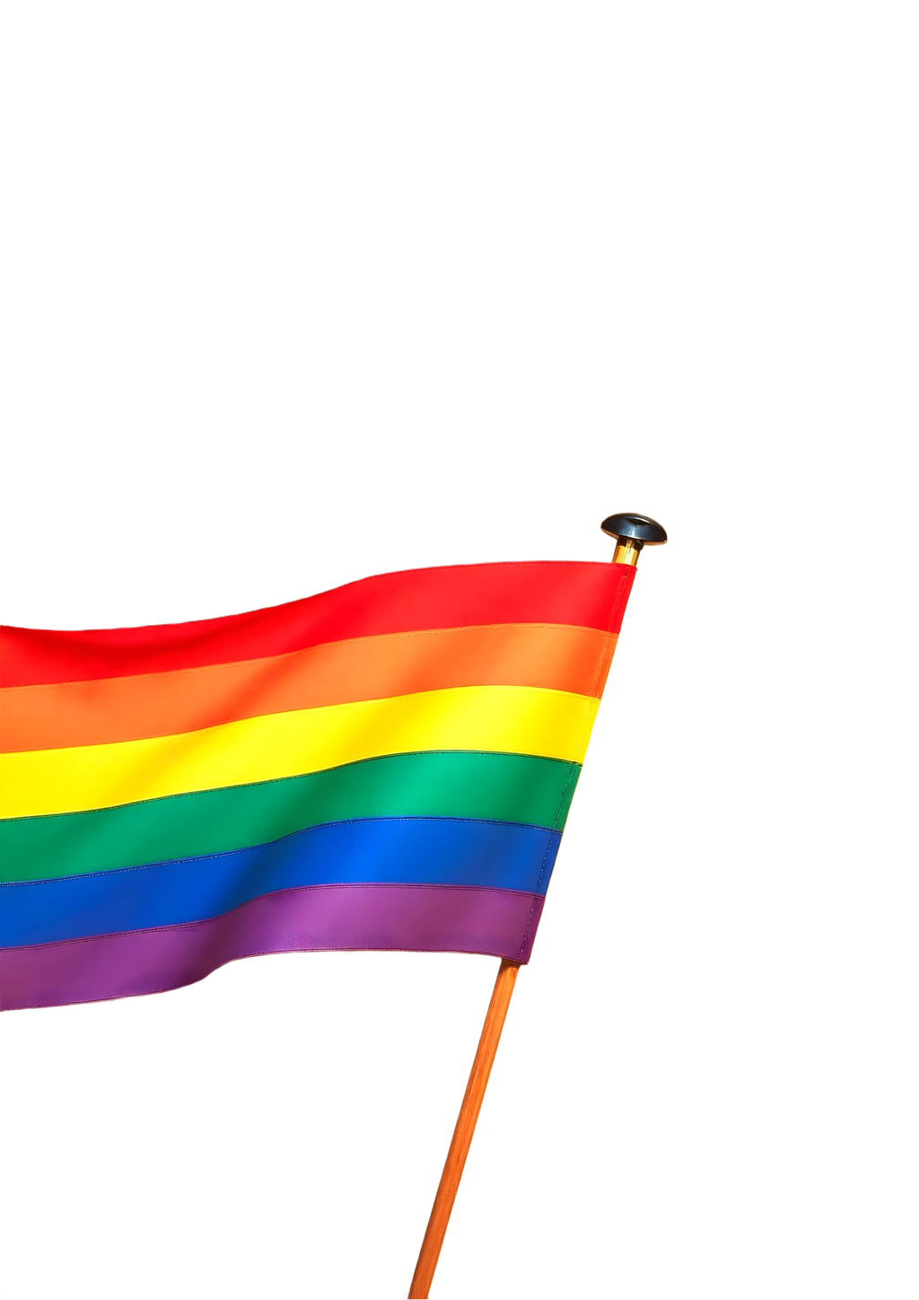 Pride Art Print