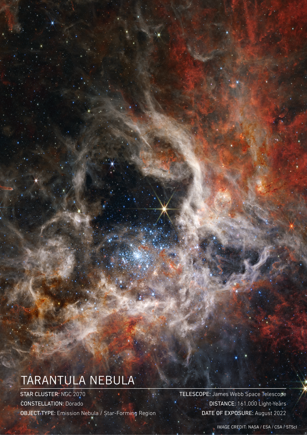 Tarantula Nebula Art Print | James Webb Space Telescope