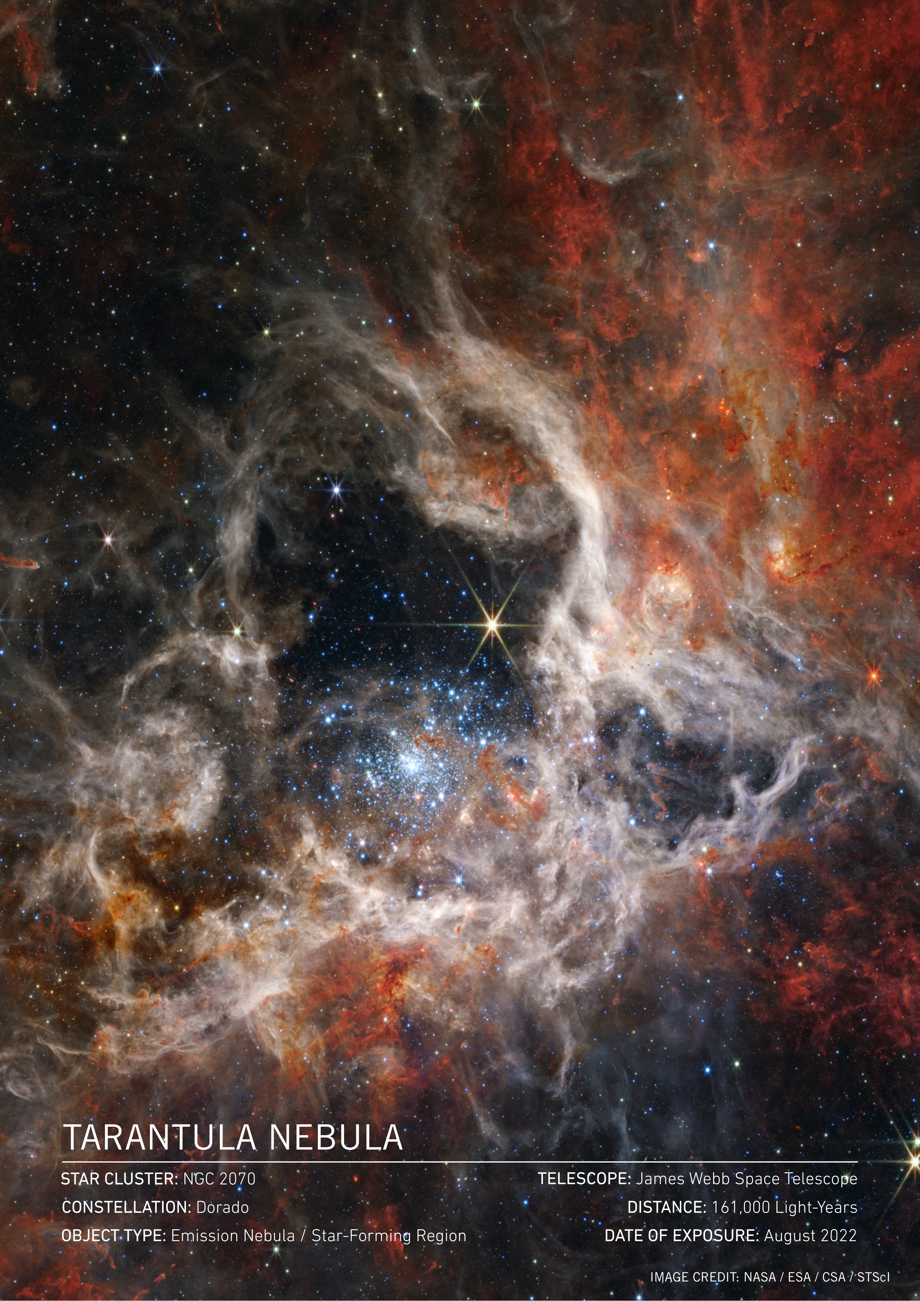 Tarantula Nebula Art Print | James Webb Space Telescope